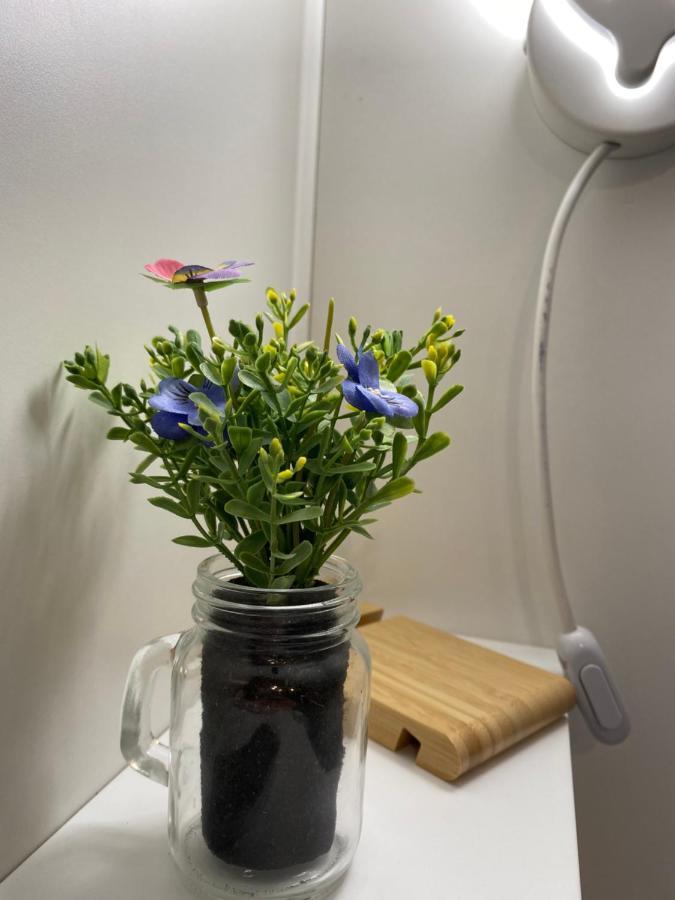 Graniti "The Gole Of Alcantara Living In The Dream'S Room" מראה חיצוני תמונה